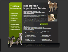 Tablet Screenshot of pensiunea-tundra.ro